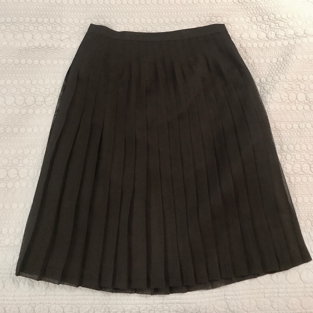Pleated Sheer Skirt